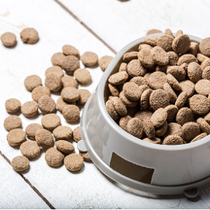 Royal Canin Kitten Dry Food