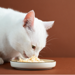 Whiskas Adult Cat Food